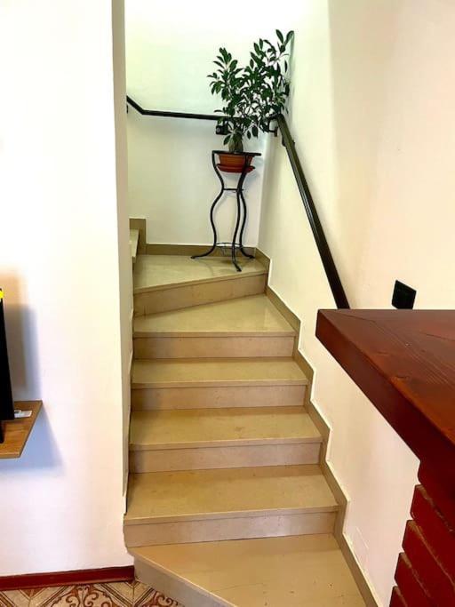 Casa Vacanze Ca' Di Lucchini 산 베네데토 발 디 삼브로 외부 사진