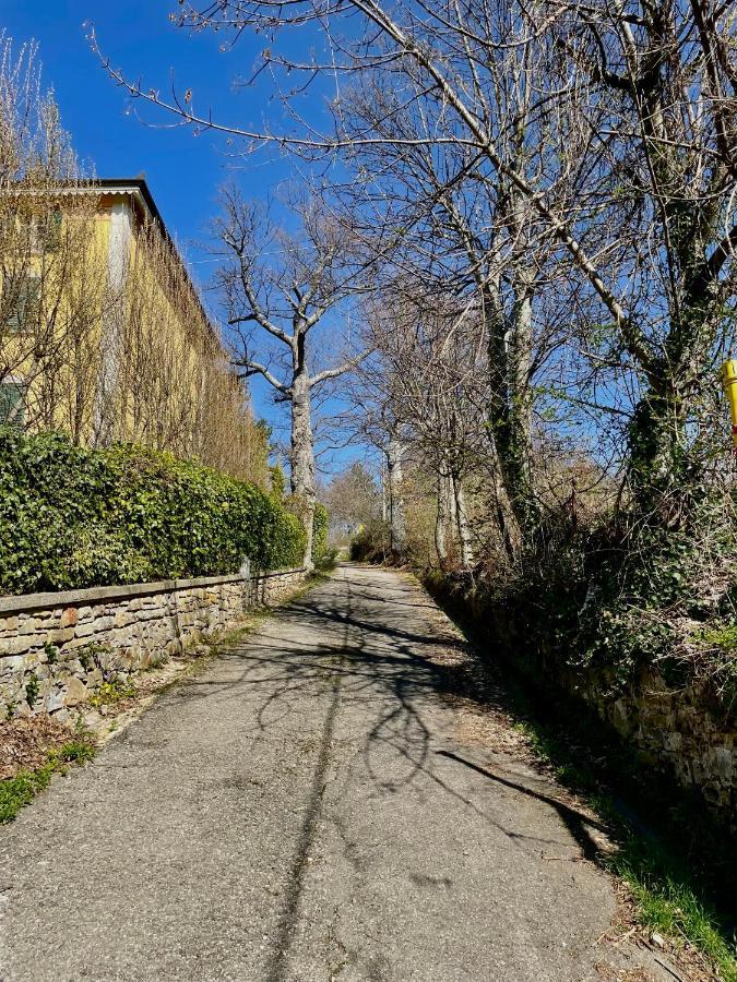 Casa Vacanze Ca' Di Lucchini 산 베네데토 발 디 삼브로 외부 사진